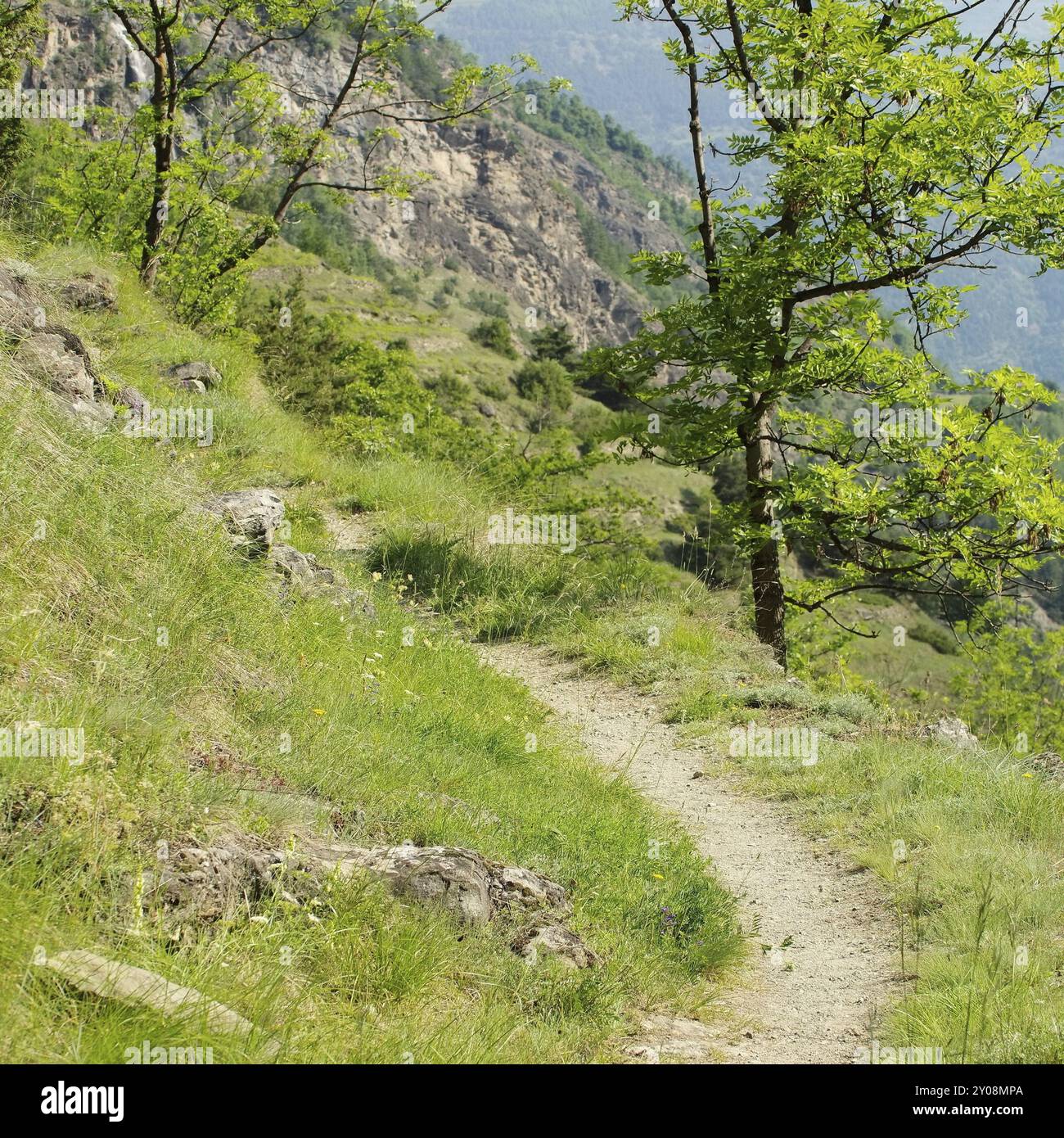 Sentiero escursionistico Valle d'Aosta 03 Foto Stock