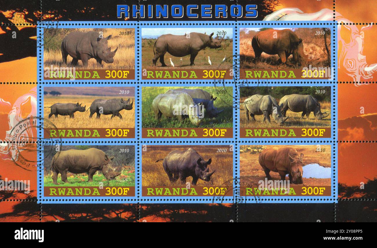 RUANDA - CIRCA 2010: Francobollo stampato dal Ruanda, mostra Rhinoceros, circa 2010 Foto Stock