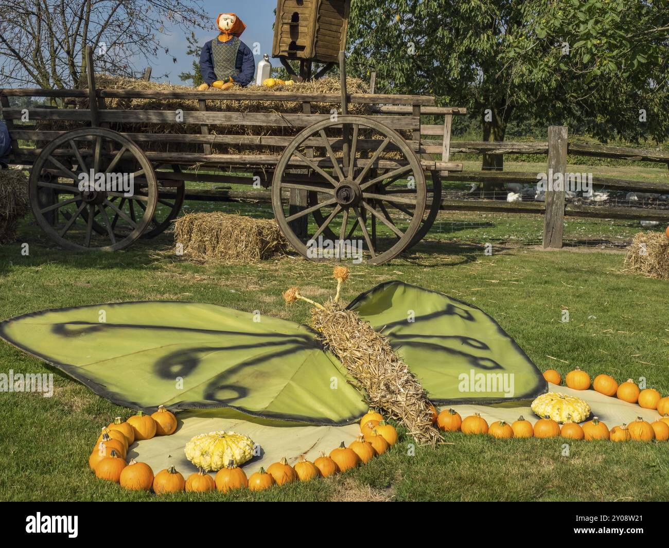 Grandi ali verdi di farfalla decorate con zucche e un carro di legno sullo sfondo in un prato, borken, muensterland, Germania, Europa Foto Stock