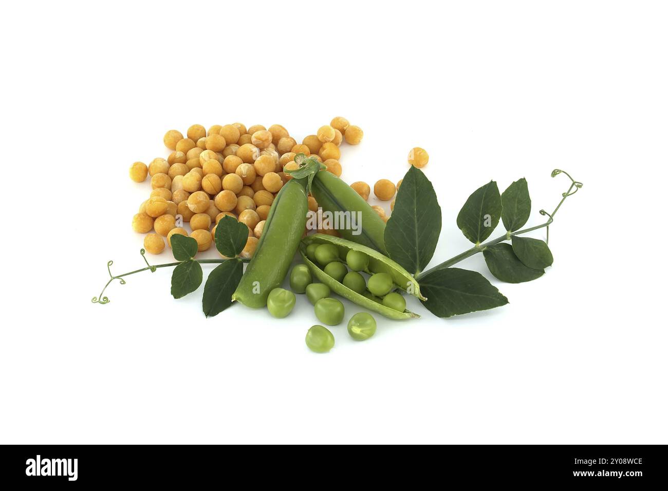 Piselli secchi gialli circondati da una foglia verde, piselli verdi freschi e baccelli di piselli isolati su fondo bianco, dieta sana a base vegetale Foto Stock