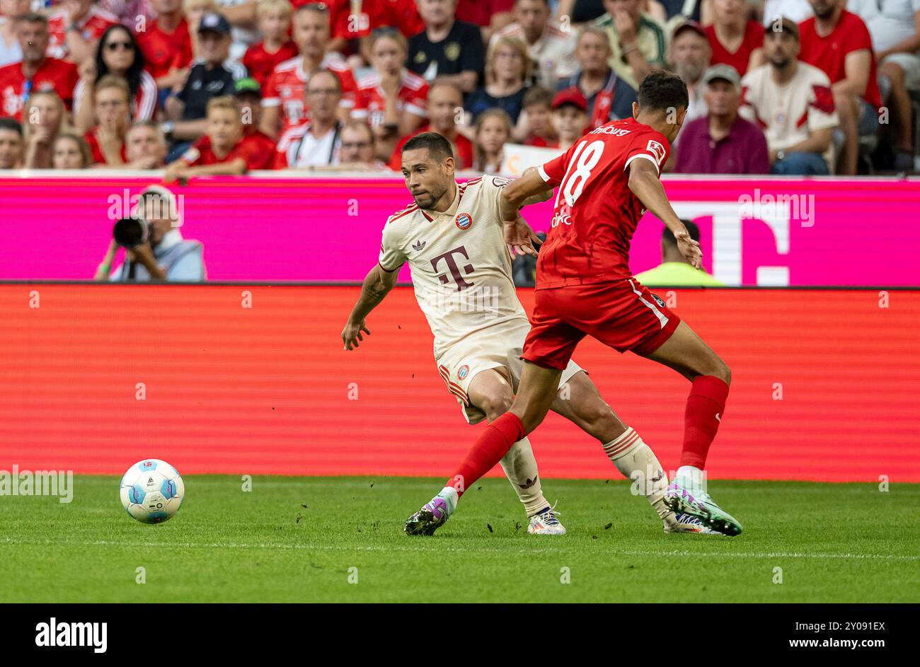 Monaco, Germania. 1 settembre 2024. Kampf um den Ball/Zweikampf zwischen Eren Sami Dinkci (SC Freiburg, #18) mit Raphael Guerreiro (FC Bayern Muenchen, #22). GER, FC Bayern Muenchen gegen SC Freiburg Fussball, Bundesliga, 2. Spieltag, Spielzeit 2024/2025, 01.09.2024. (LE NORMATIVE DFL DFB VIETANO QUALSIASI USO DI FOTOGRAFIE COME SEQUENZE DI IMMAGINI E/O QUASI-VIDEO). Foto: Eibner-Pressefoto/Heike Feiner credito: dpa/Alamy Live News Foto Stock