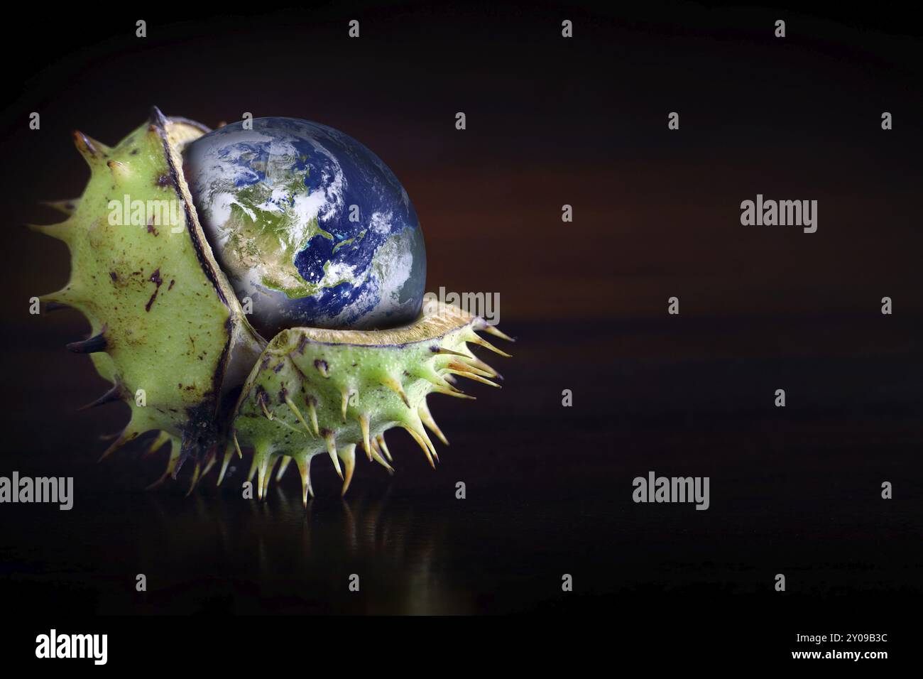 Globo protetto in un guscio di castagno rotto, simbolo di conservazione ambientale, ozono, gas serra, collage Foto Stock