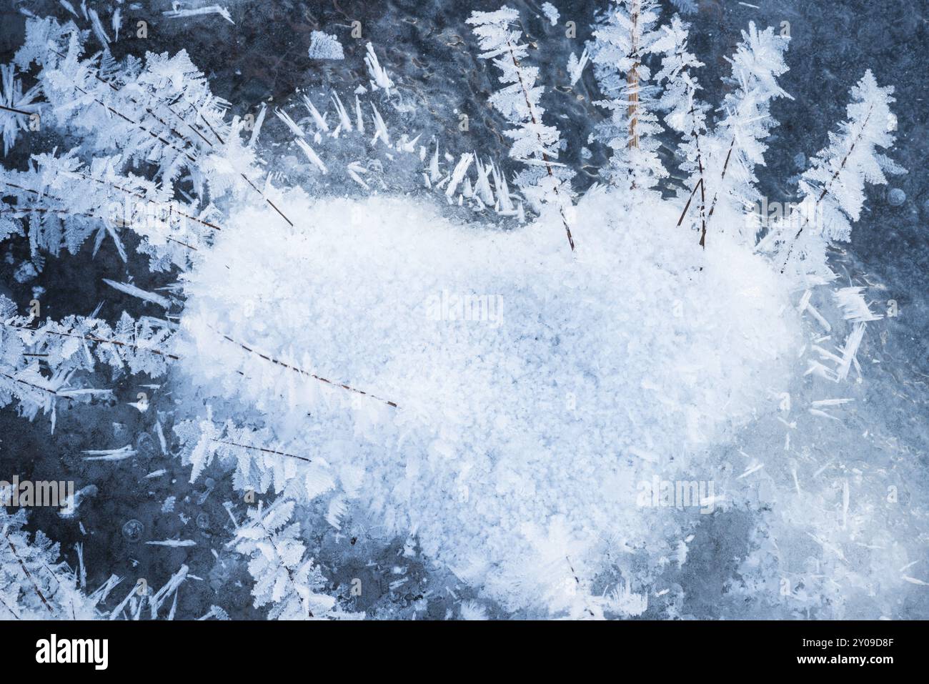 Prato ricoperto di gelo su una zona di neve a forma di cuore, Parco Nazionale Muddus, sito Patrimonio Mondiale dell'Umanità della Laponia, Norrbotten, Lapponia, Svezia, ottobre 2012, EUR Foto Stock