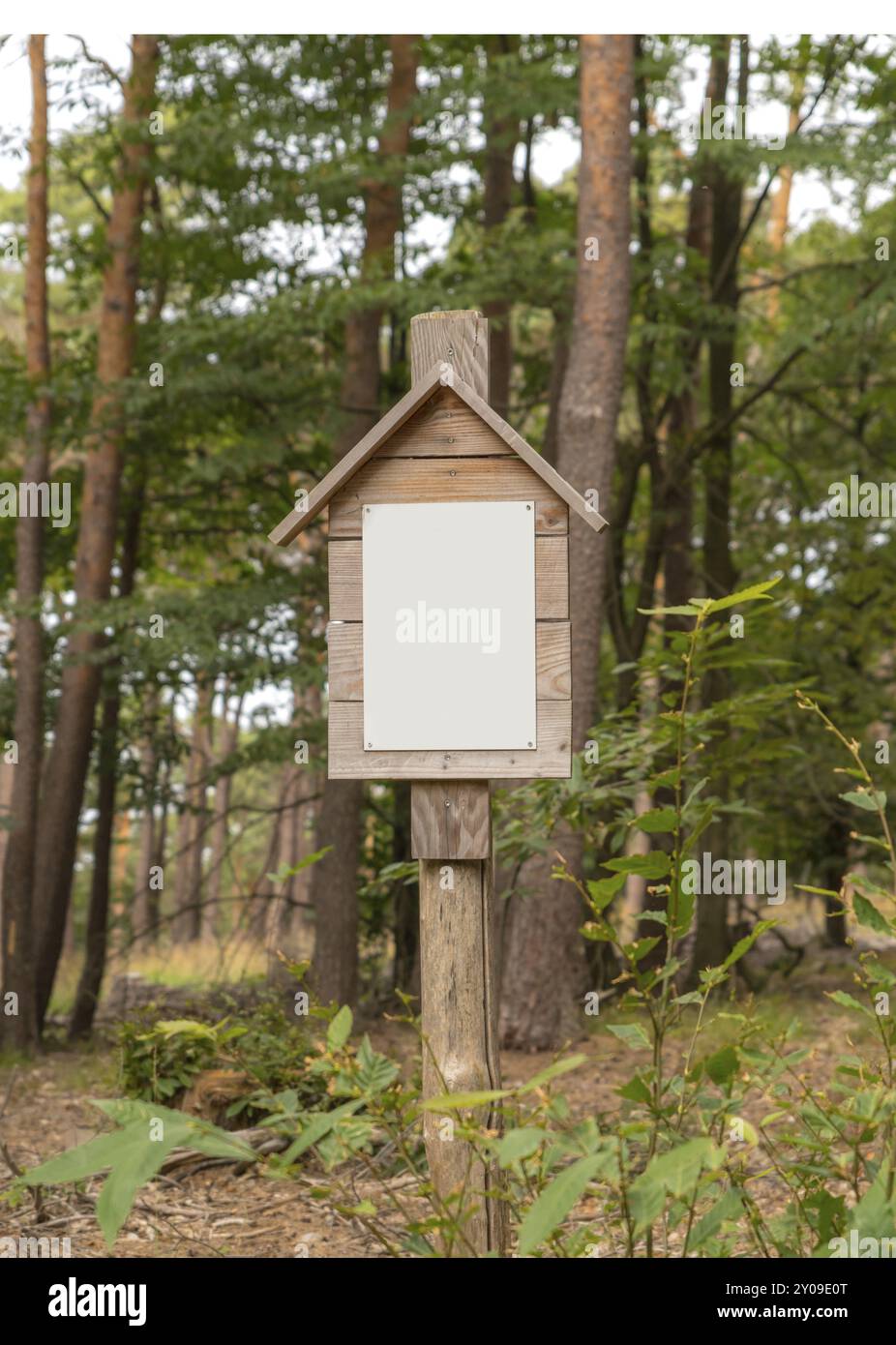 Insegna bianca senza etichetta su un pannello di legno con un piccolo tetto. Avvitato ad un palo di legno nella foresta Foto Stock