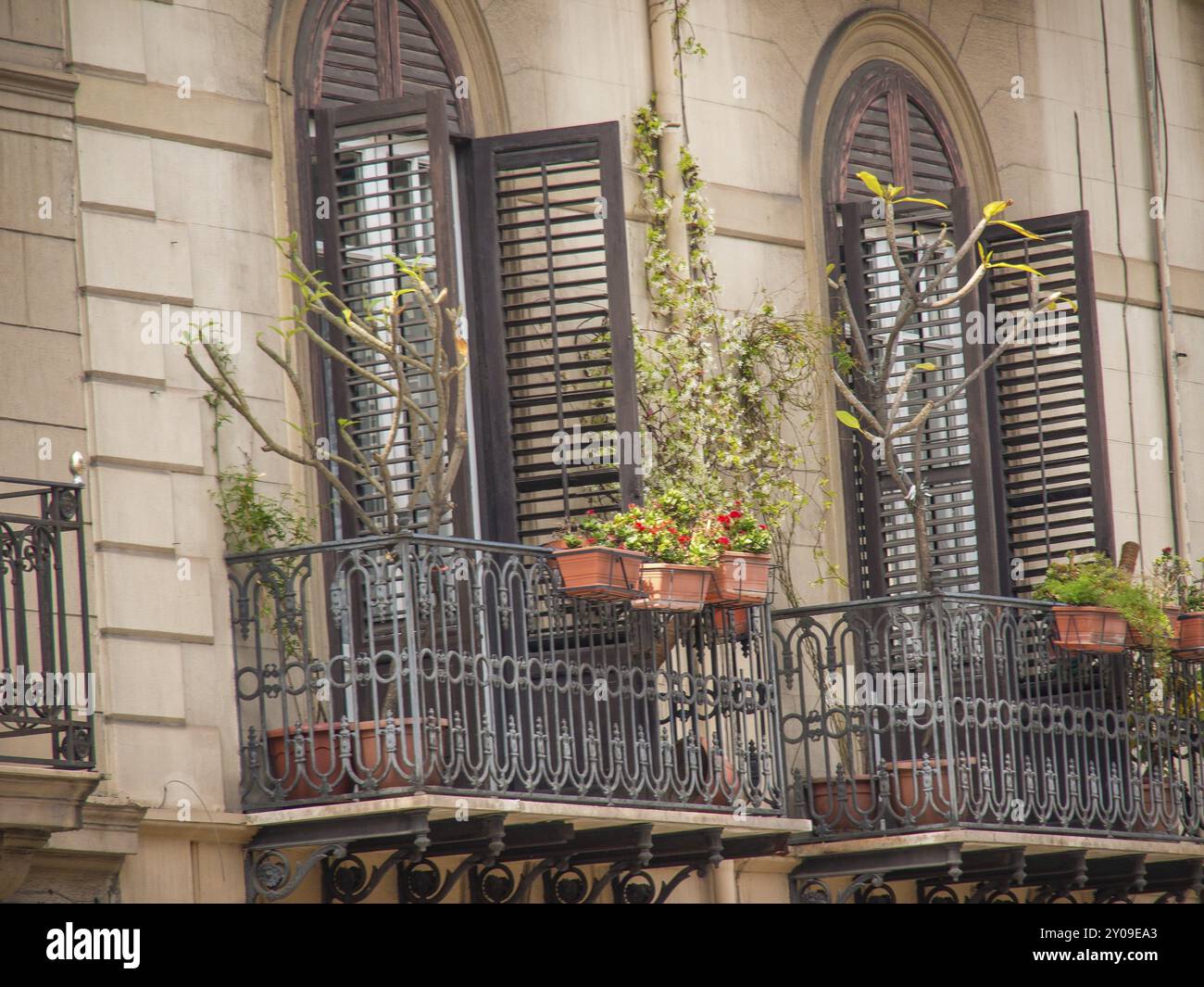 Edificio dal design moderno con balconi, ringhiere e fitte piante da arrampicata, colori marrone e neutri, palermo, sicilia, mediterraneo, italia Foto Stock