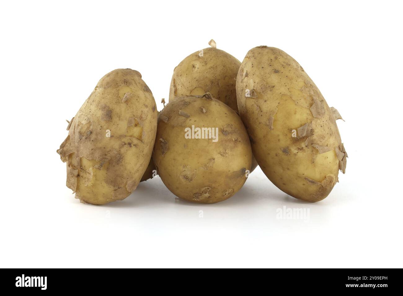 Patate di prima stagione con buccia marrone chiaro isolata su sfondo bianco Foto Stock