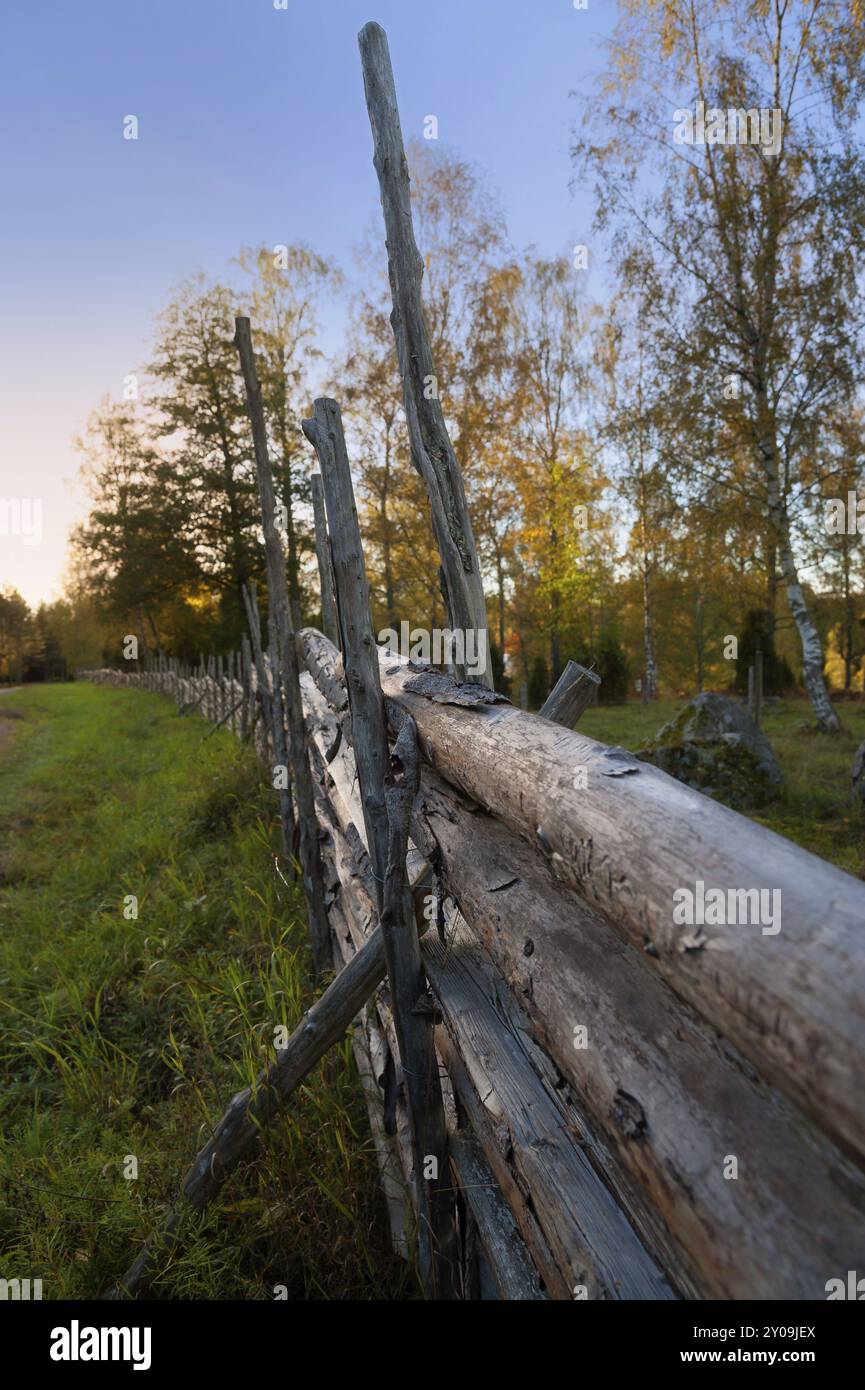 Recinzione tradizionale, chiamata gaersgard, in Svezia che separa le praterie dalla foresta Foto Stock