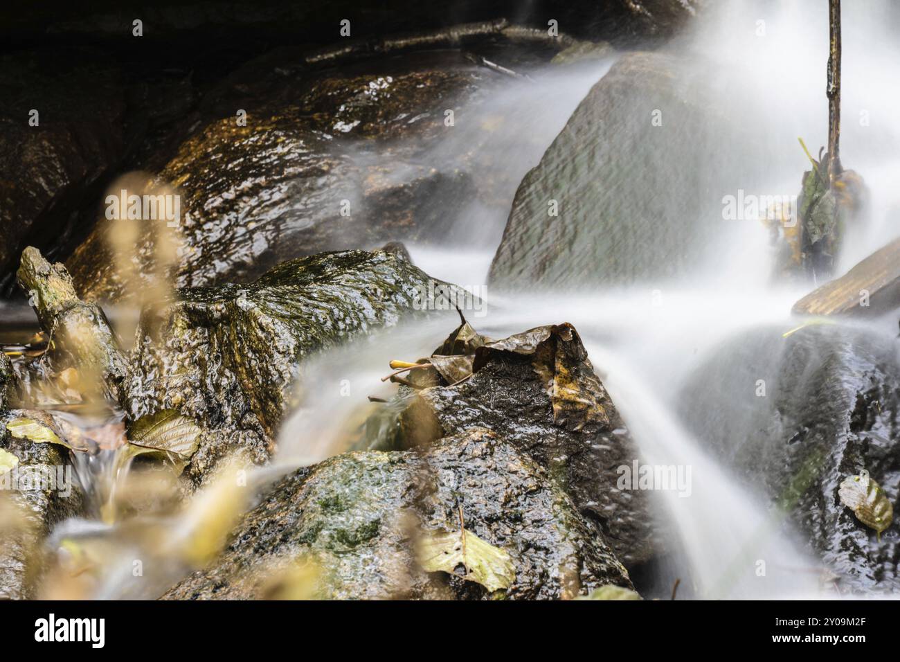 Immagine a lunga esposizione dell'acqua in un piccolo flusso Foto Stock Immagine a lunga esposizione dell'acqua in un piccolo flusso Foto Stock