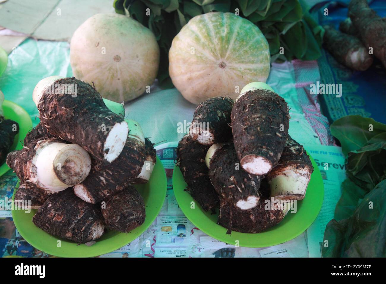 Radice di taro fresco in vendita, mercato agricolo nelle Figi, Savusavu Foto Stock