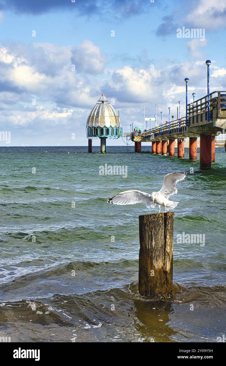 Il molo di Zingst, sul Mar Baltico, con partenza del gabbiano in primo piano. Il cielo nuvoloso e il mare leggermente ondulato completano il paesaggio Foto Stock