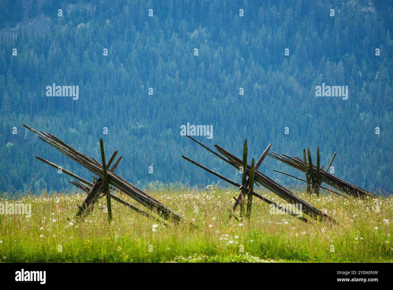 Paesaggio rurale con un prato con fiori selvatici e pali di fieno vuoti impilati di fronte a un'alta montagna in estate. Foto Stock
