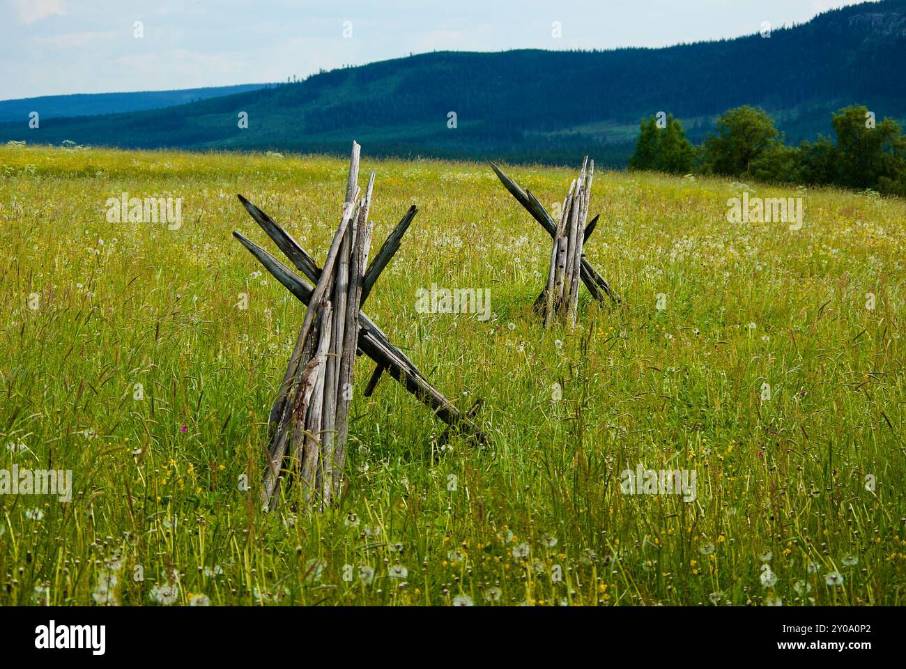 Paesaggio rurale con un prato con fiori selvatici e pali di fieno vuoti impilati di fronte a un'alta montagna in estate. Foto Stock