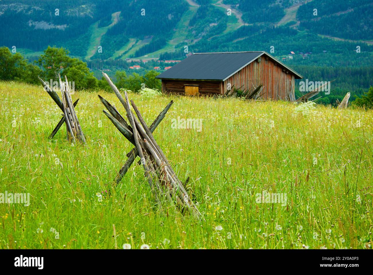 Paesaggio rurale con un prato con fiori selvatici e pali di fieno vuoti impilati e un vecchio fienile svedese di legno di fronte a un'alta montagna in estate. Foto Stock