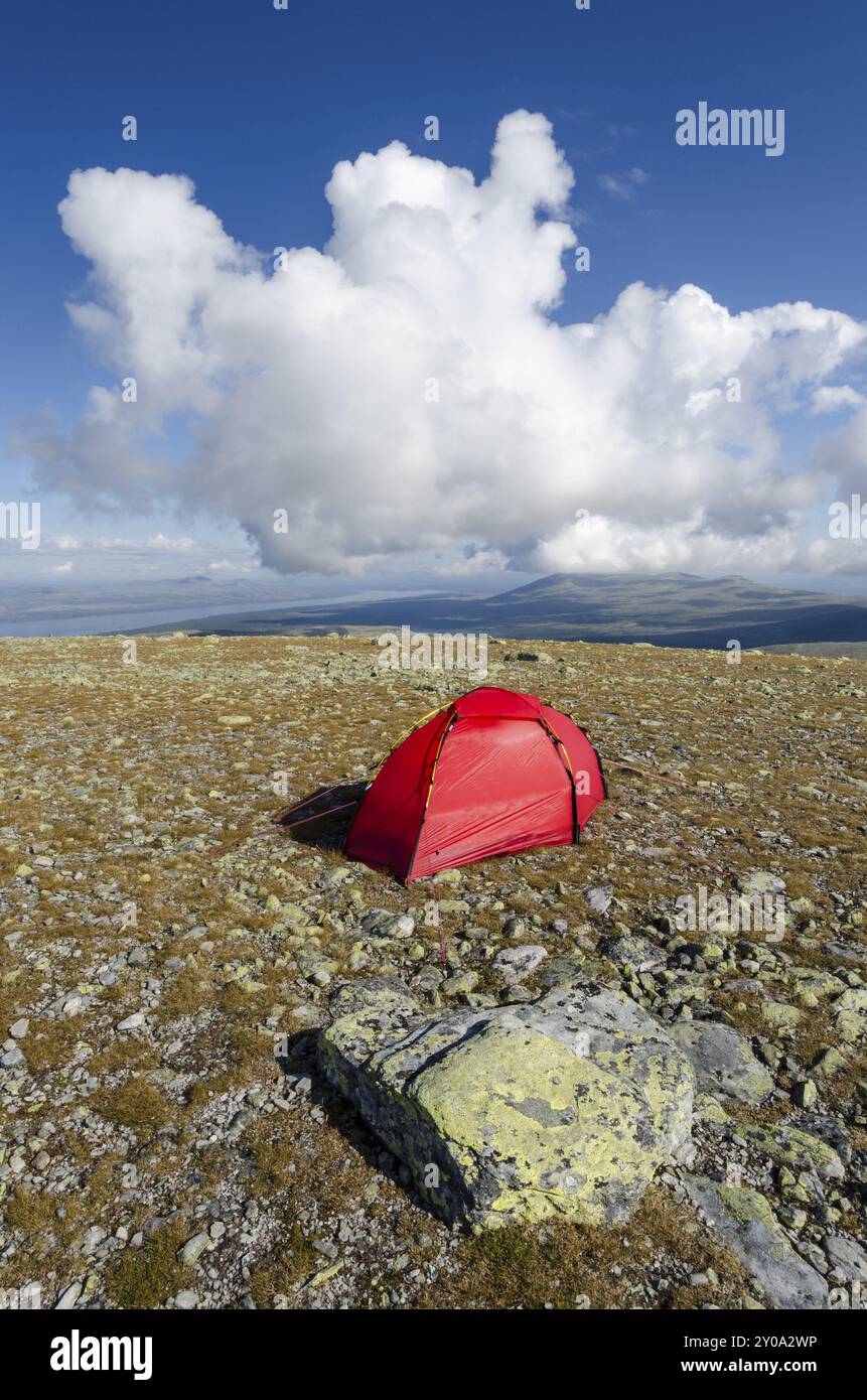 Tenda sul monte Elgahogna che si affaccia sul lago Femunden, il parco nazionale Femundsmarka, Hedmark Fylke, Norvegia, luglio 2011, Europa Foto Stock