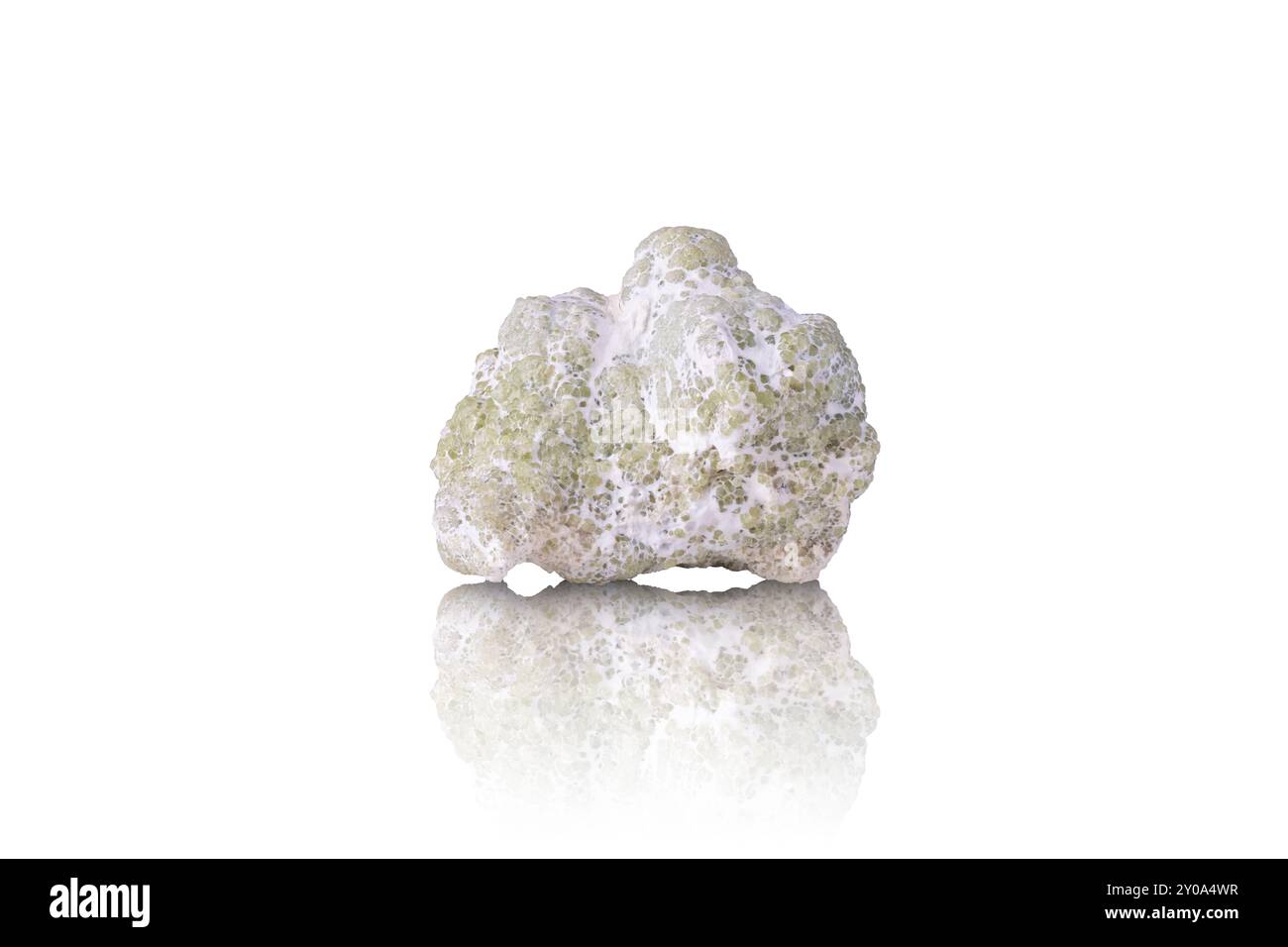 granato verde demantoide avvolto in fibra di amianto. Campione di Dossi di Franscia, Italia. Fotografia isolata su un terreno nero bianco. backg dettagli macro Foto Stock