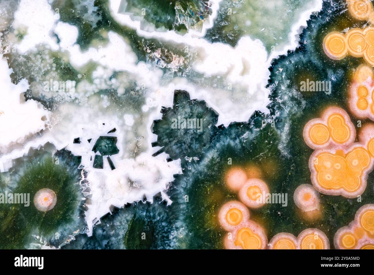 Ocean jasper lucido. texture di dettaglio macro-fotografia. pietra preziosa minerale lucidata per primi piani. Foto Stock