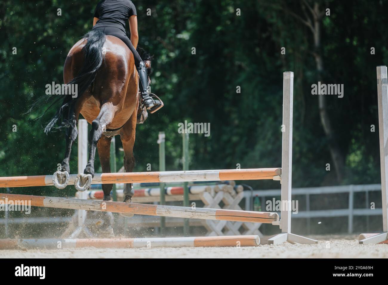 Cavallo e cavaliere che saltano su un ostacolo in una gara equestre in una giornata di sole Foto Stock Cavallo e cavaliere che saltano su un ostacolo in una gara equestre in una giornata di sole Foto Stock