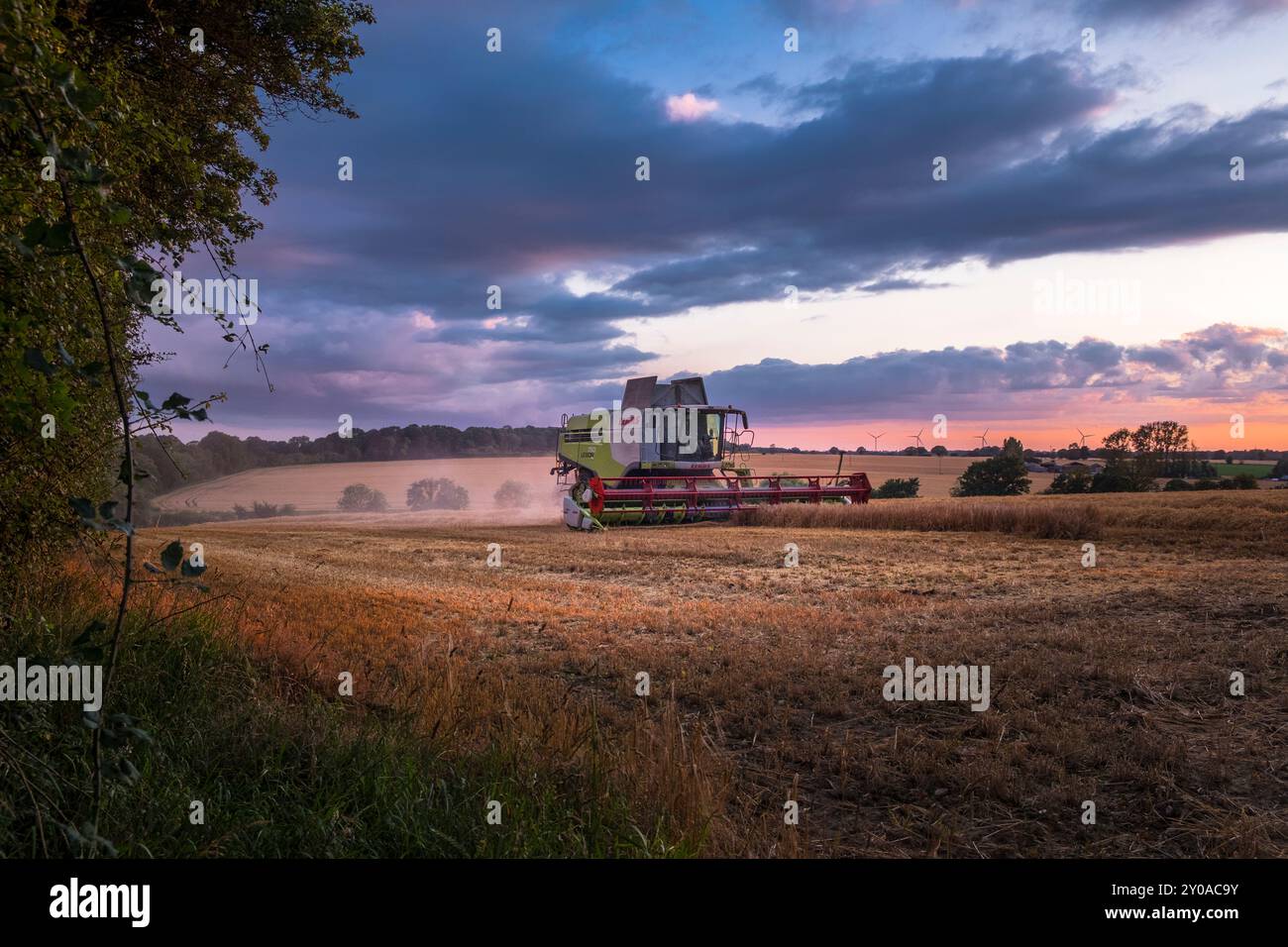 Mietitrebbia per la raccolta di orzo la sera al crepuscolo. Hoxne, Suffolk, East Anglia, Regno Unito. Foto Stock