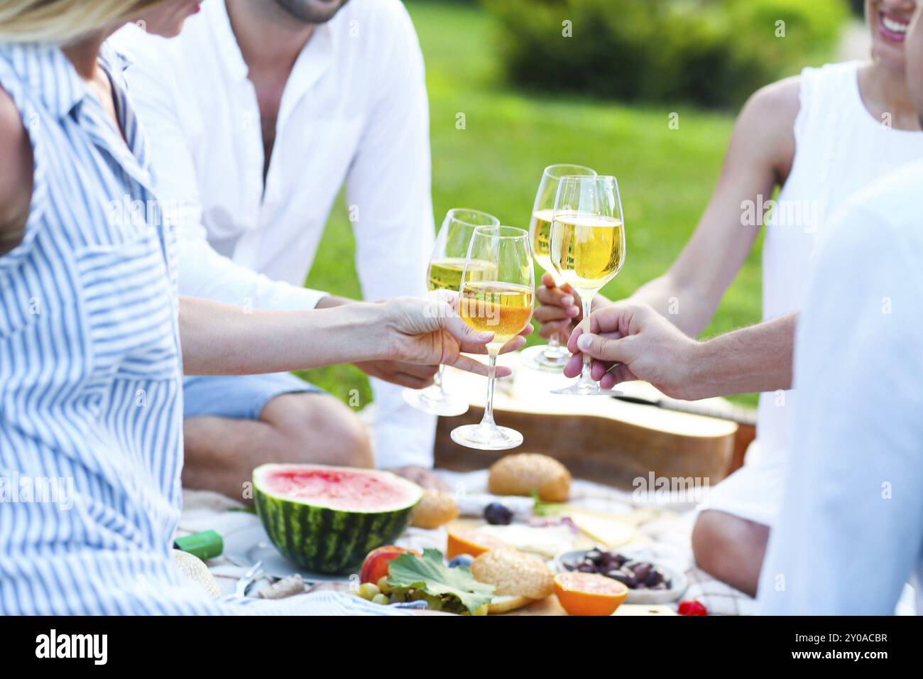 Picnic estivo con vino bianco. Parte esterna o celebrazione Foto Stock