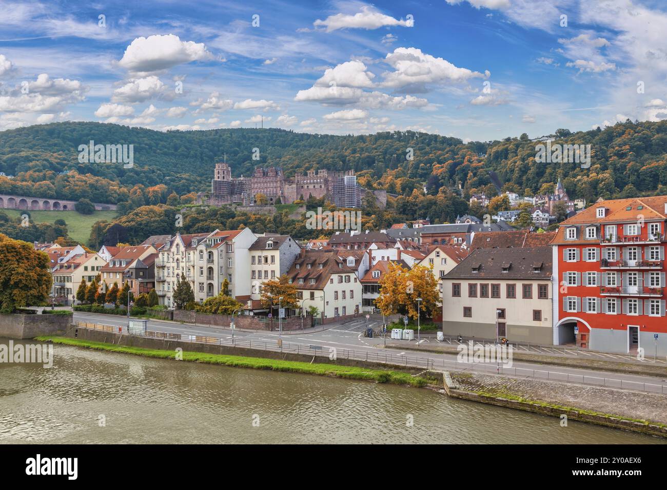 Heidelberg Germania, skyline della città al Palazzo Heidelberg e fiume Neckar con stagione di fogliame autunnale Foto Stock