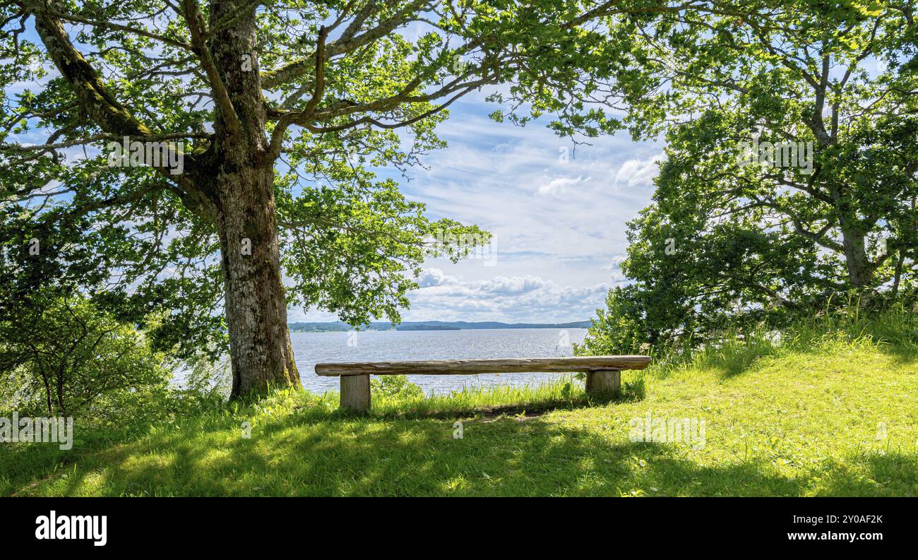 Vista da una panchina sotto un albero vicino a un lago Foto Stock