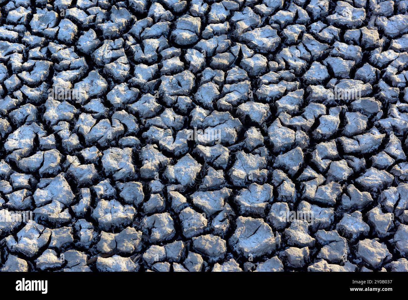 Schema del terreno incrinato nel deserto, la Pampa, Argentina Foto Stock