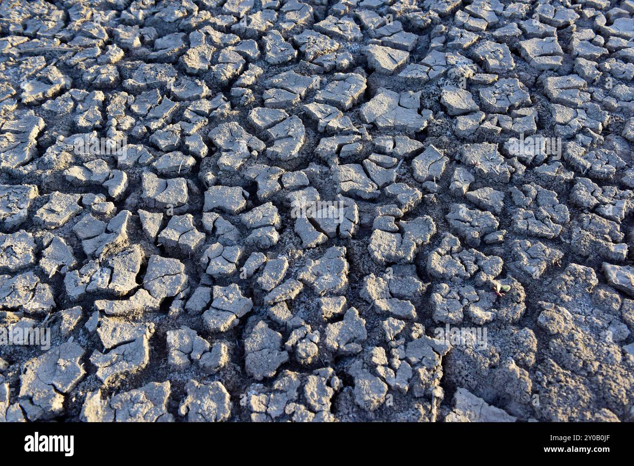 Schema del terreno incrinato nel deserto, la Pampa, Argentina Foto Stock