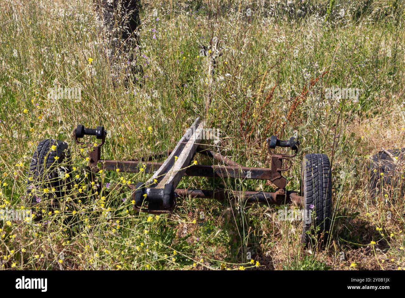 Vecchio rimorchio arrugginito e dimenticato viene lentamente recuperato dalla natura, in un campo di erba alta Foto Stock