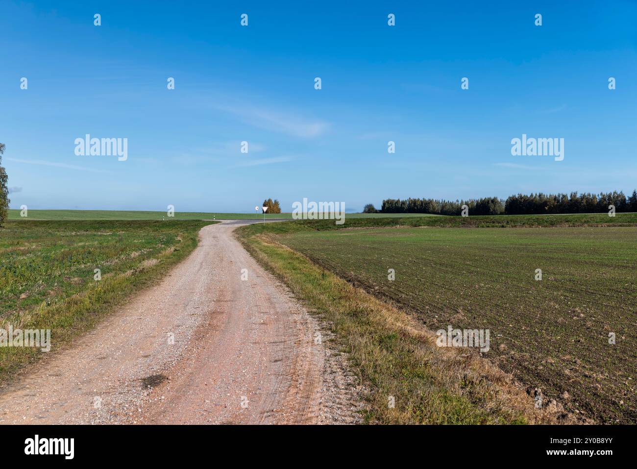 Una strada di campagna senza asfalto o ghiaia, una semplice strada percorsa sulla sabbia in un campo in campagna Foto Stock