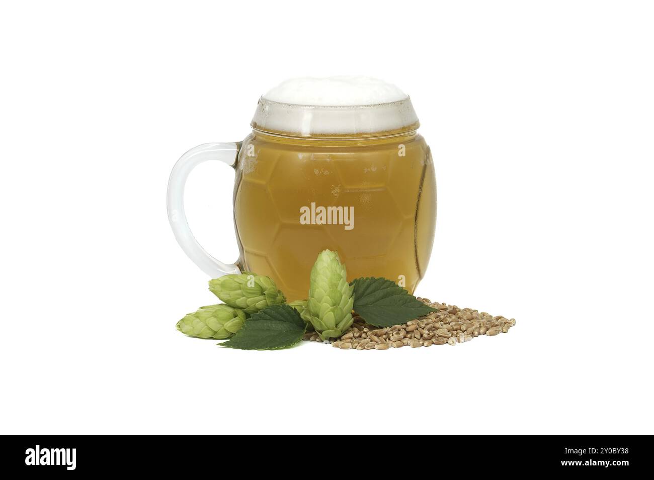 Tazza di vetro riempita con una birra vicino a coni di luppolo verde fresco e mucchio di grano in primo piano isolato su sfondo bianco, ingredienti per la produzione della birra Foto Stock