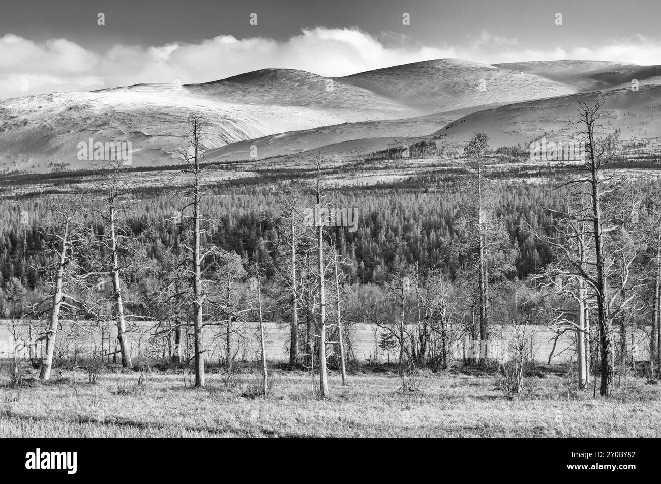 Vista dalla valle di Atndalen a Bergen nel parco nazionale di Rondane, Hedmark Fylke, Norvegia, maggio 2012, Europa Foto Stock