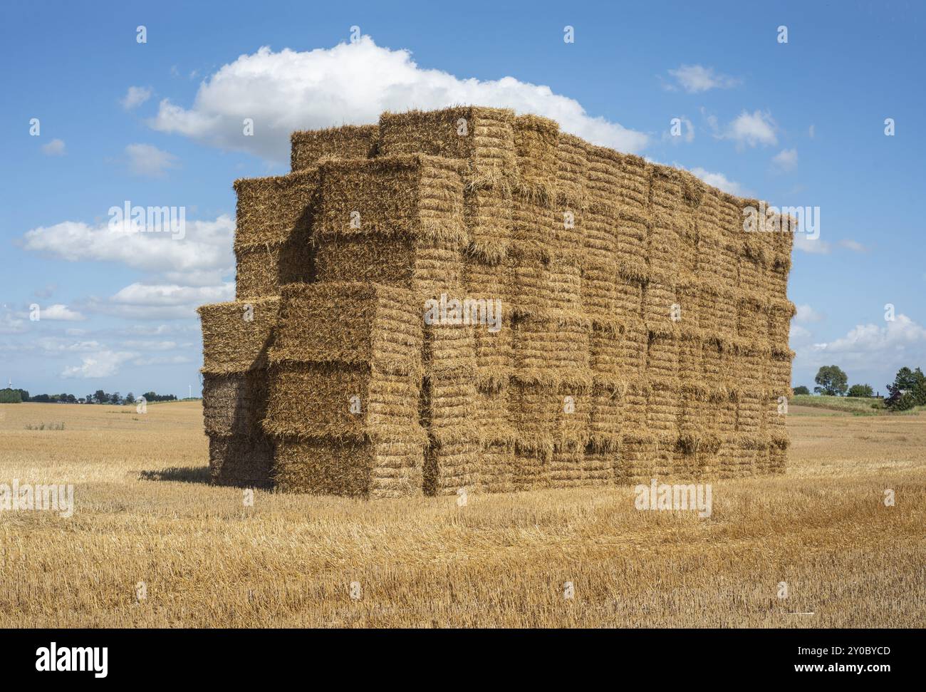 Pile di balle di paglia rettangolari a Ystad, contea di Skane, Svezia, Scandinavia, Europa Foto Stock