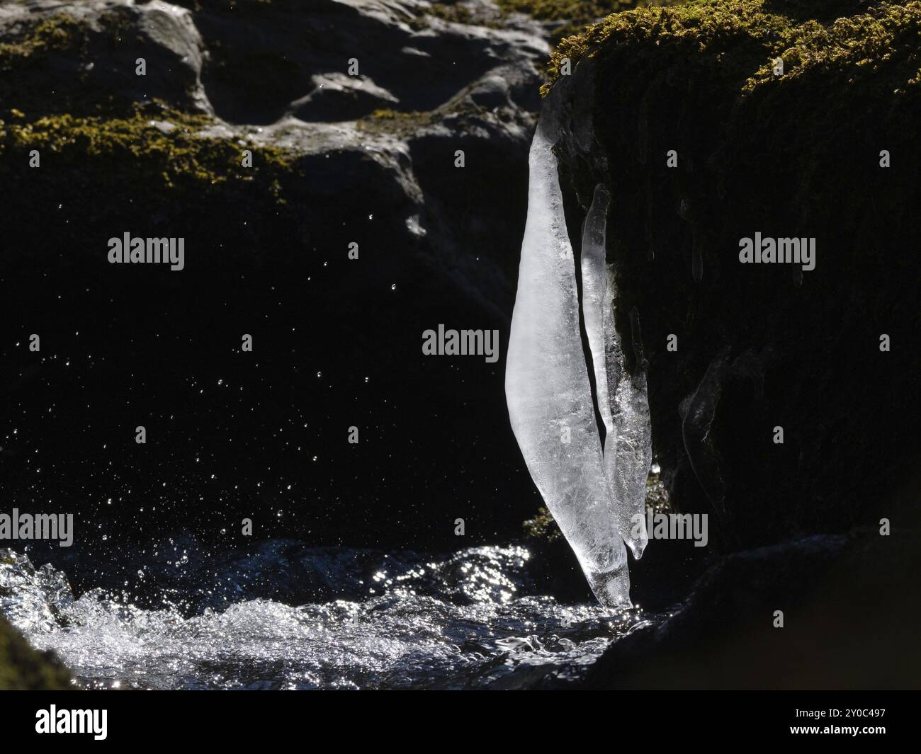 Icicle su una roccia sopra un ruscello Foto Stock Icicle su una roccia sopra un ruscello Foto Stock