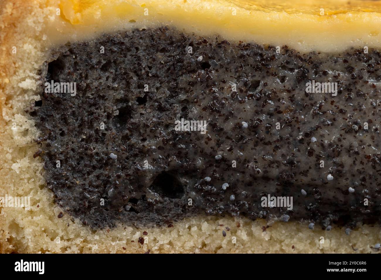 un pezzo di torta tagliato con ripieno di semi di papavero, uno strato spesso di ripieno di semi di papavero tra strati sottili di pan di spagna nel dessert Foto Stock