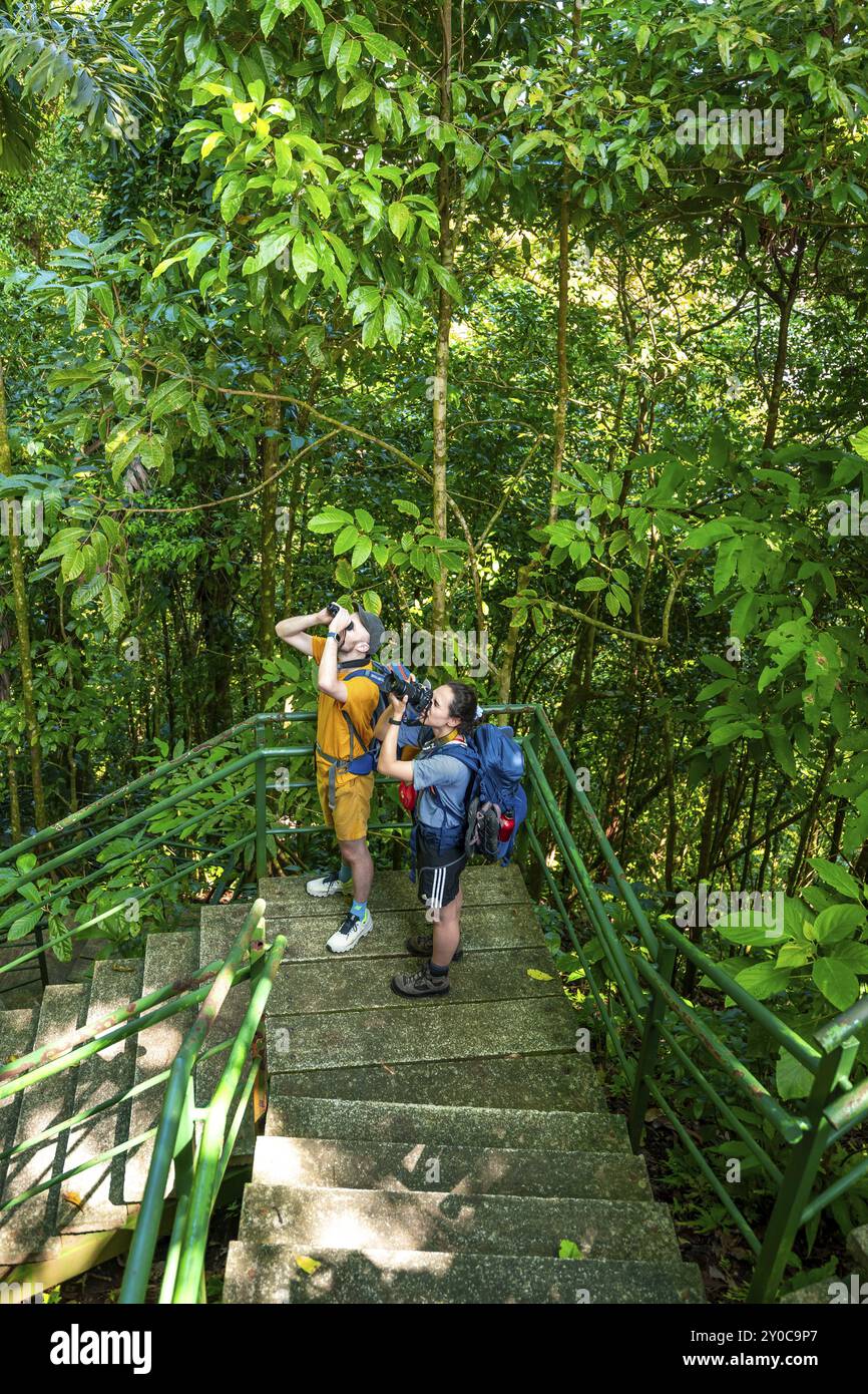 Turista sulla strada nella foresta pluviale verso Cerro Tortuguero, Parco Nazionale di Tortuguero, Costa Rica, America centrale Foto Stock