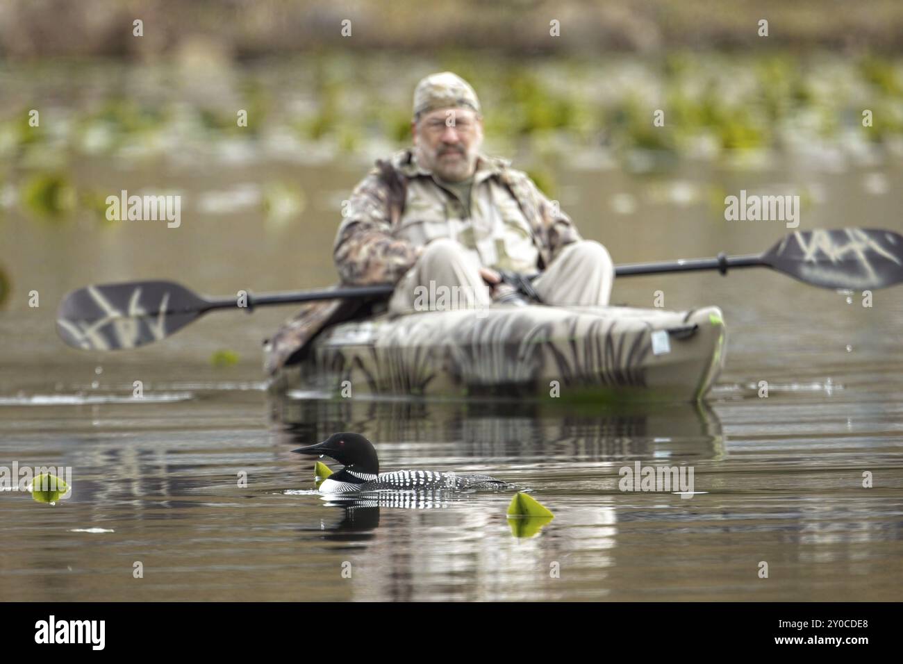 Una foto editoriale di un fotografo su un kayak che allaga un loon sul lago Fernan nell'Idaho settentrionale Foto Stock