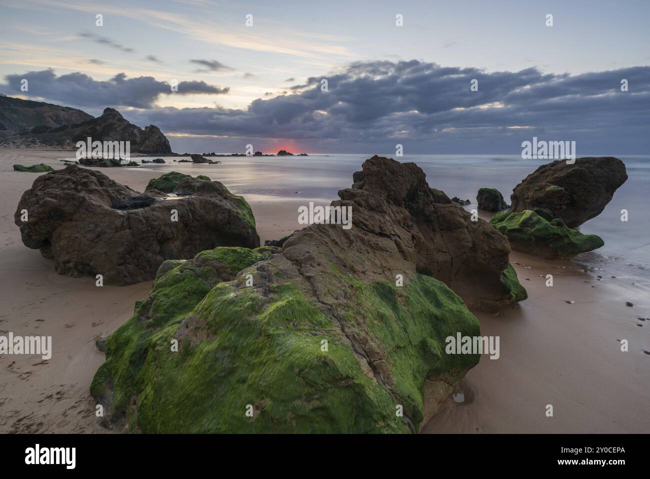 Spiaggia di Praia do amado al tramonto in Costa Vicentina, Portogallo, Europa Foto Stock