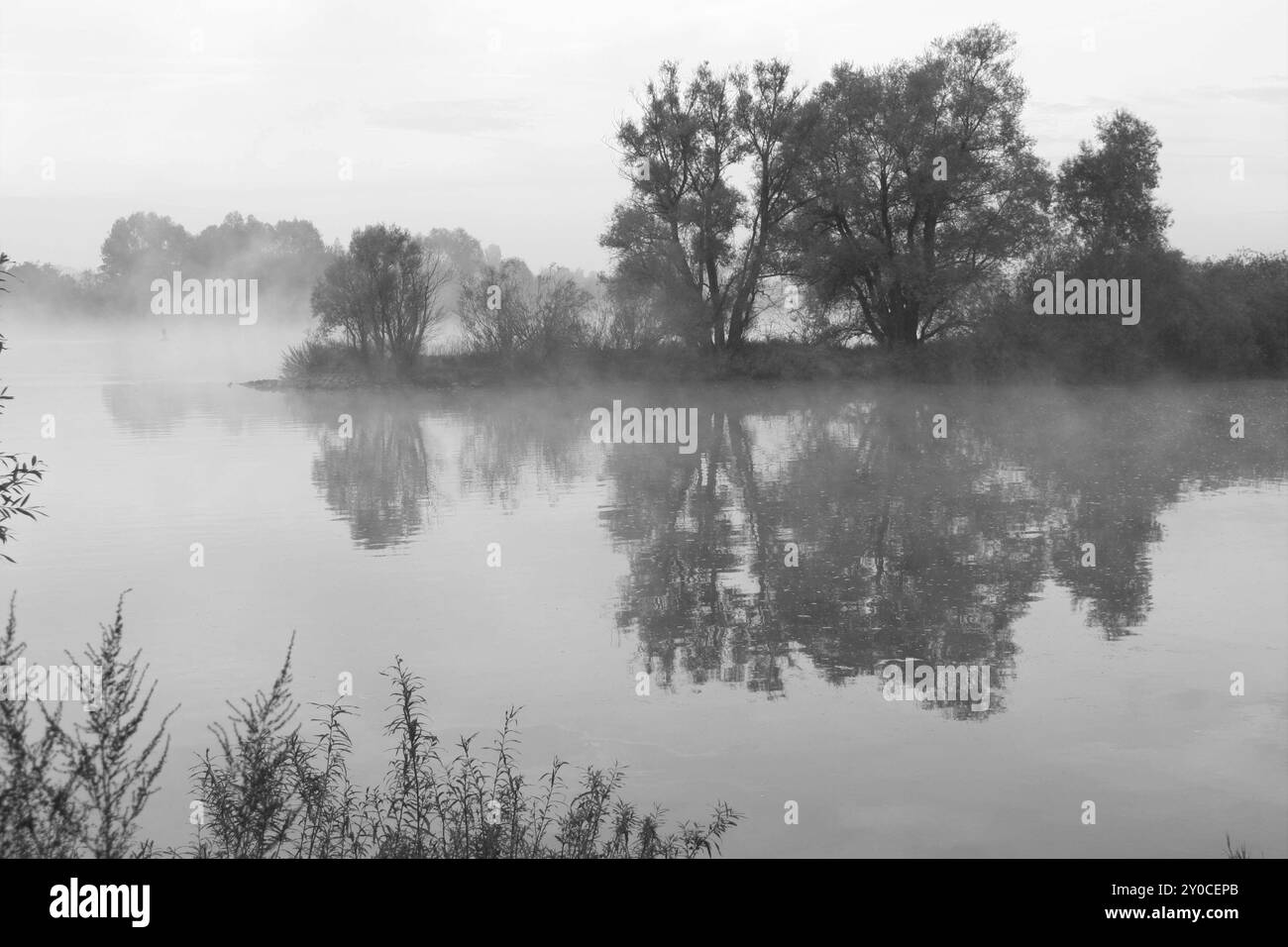 Danubio nella nebbia, Danubio nella nebbia Foto Stock