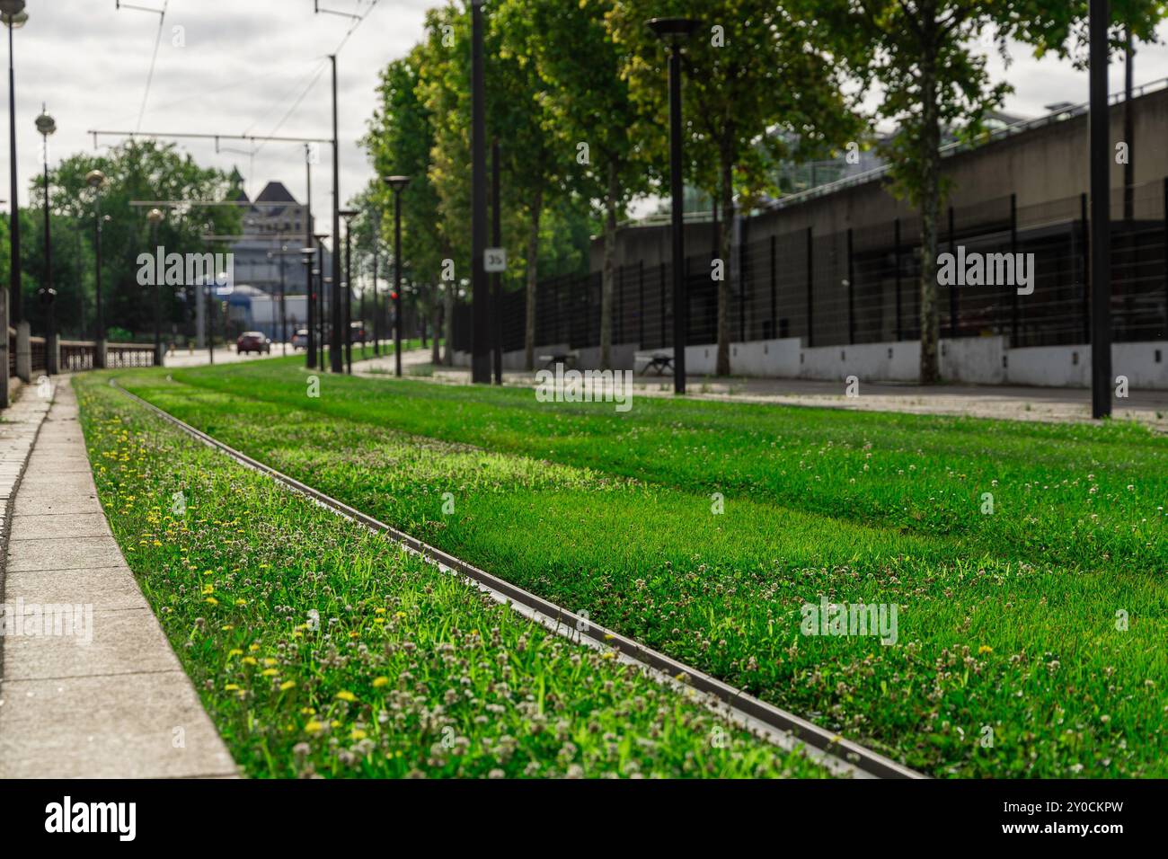 Percorso del tram attraverso l'erba a parigi. Trasporto ferroviario in tram a parigi, binari del tram disposti in un'erba verde accanto a una strada trafficata. Foto Stock