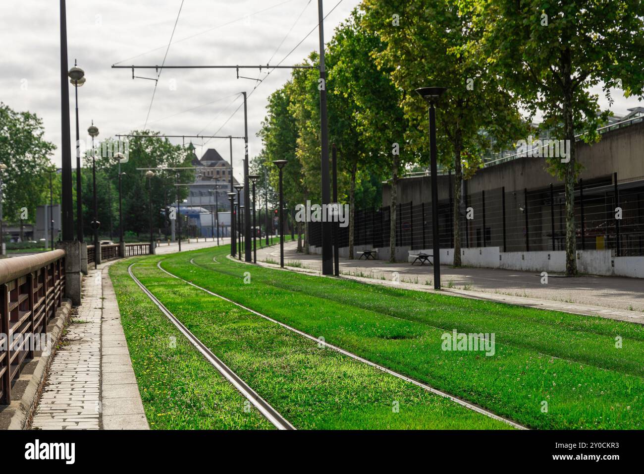 Percorso del tram attraverso l'erba a parigi. Trasporto ferroviario in tram a parigi, binari del tram disposti in un'erba verde accanto a una strada trafficata. Foto Stock