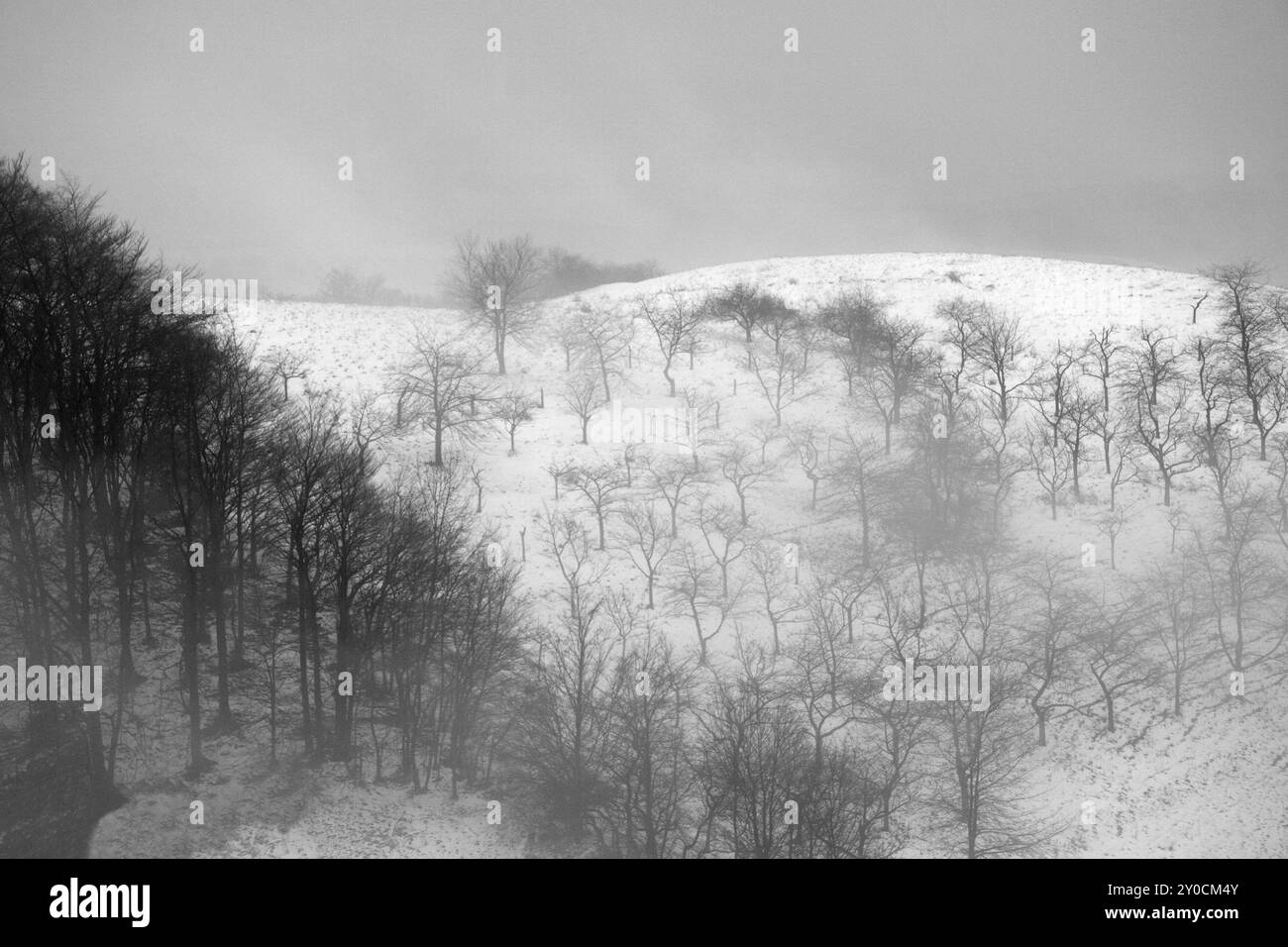 Il Pfaffenberg in inverno con nebbia Foto Stock