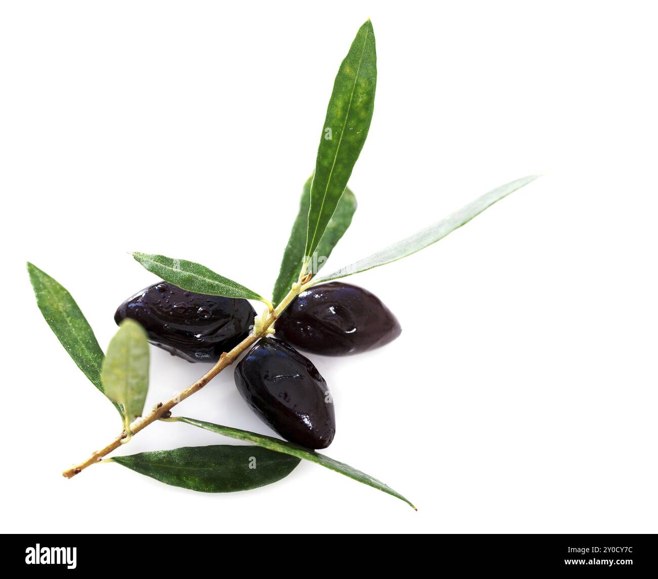 Mature olive nere con foglie su sfondo bianco Foto Stock