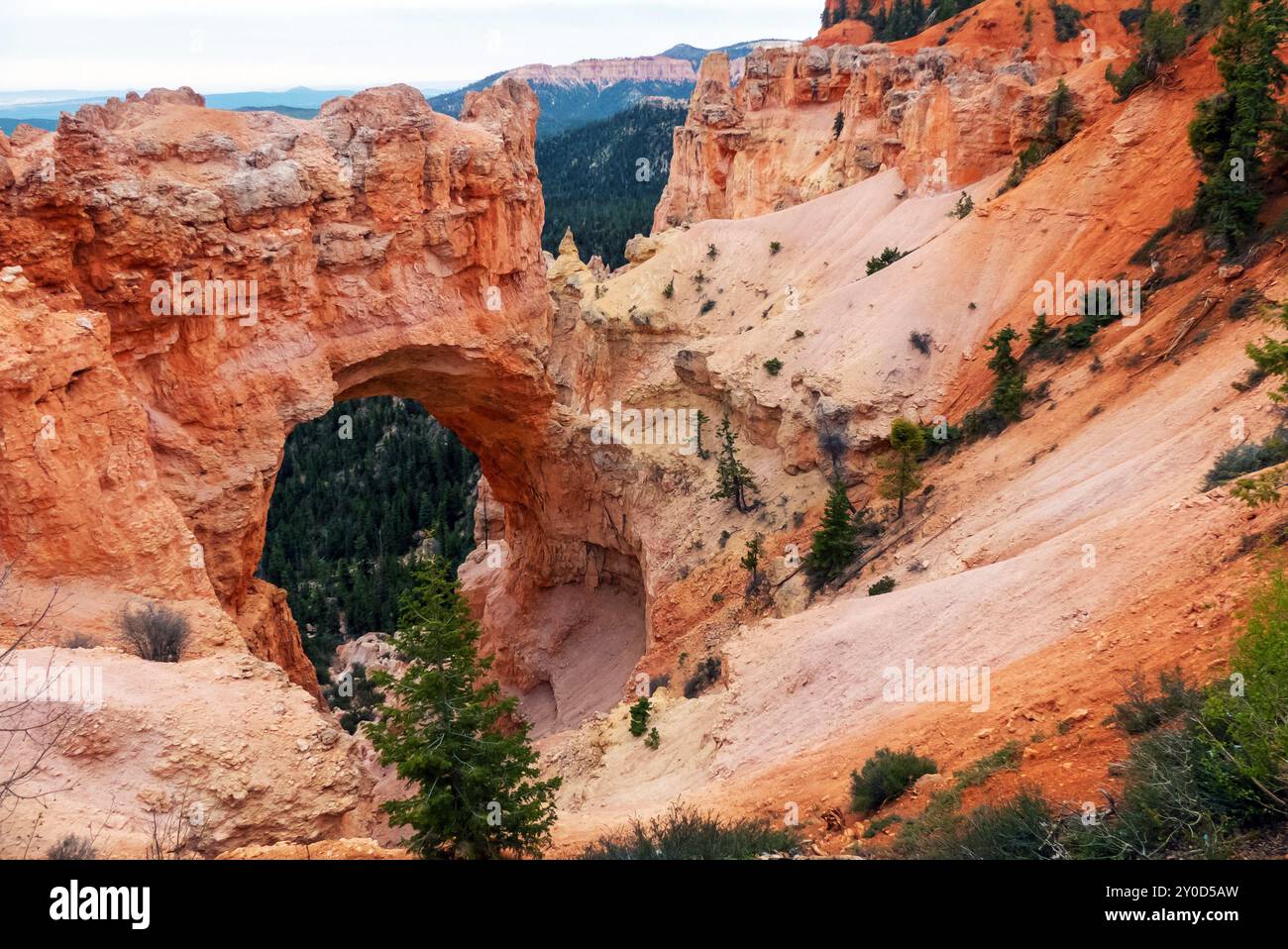 Bryce Canyon NP in Utah: The Natural Arch Foto Stock