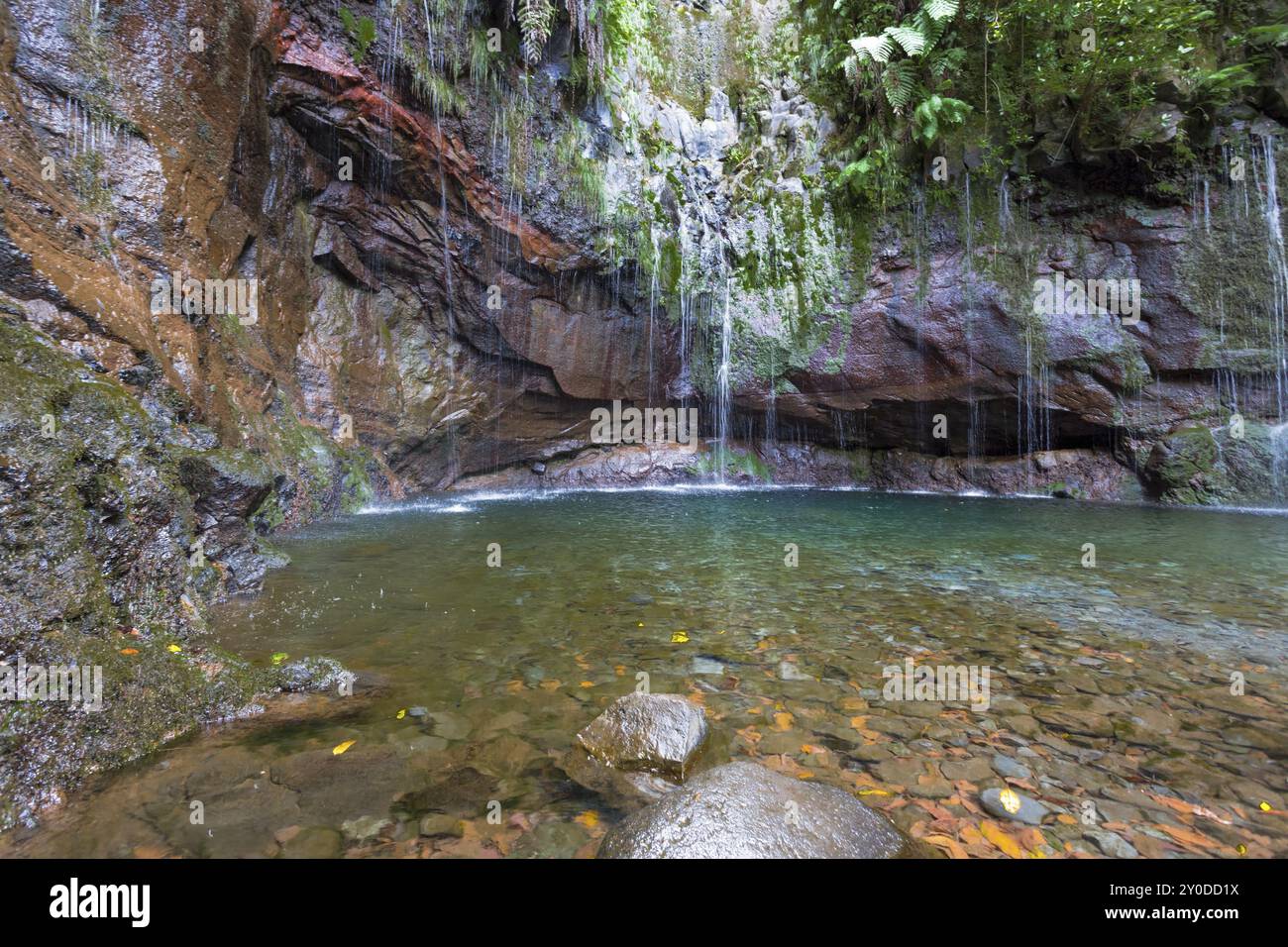 Escursione a Levada a Madeira, Portogallo, Europa Foto Stock