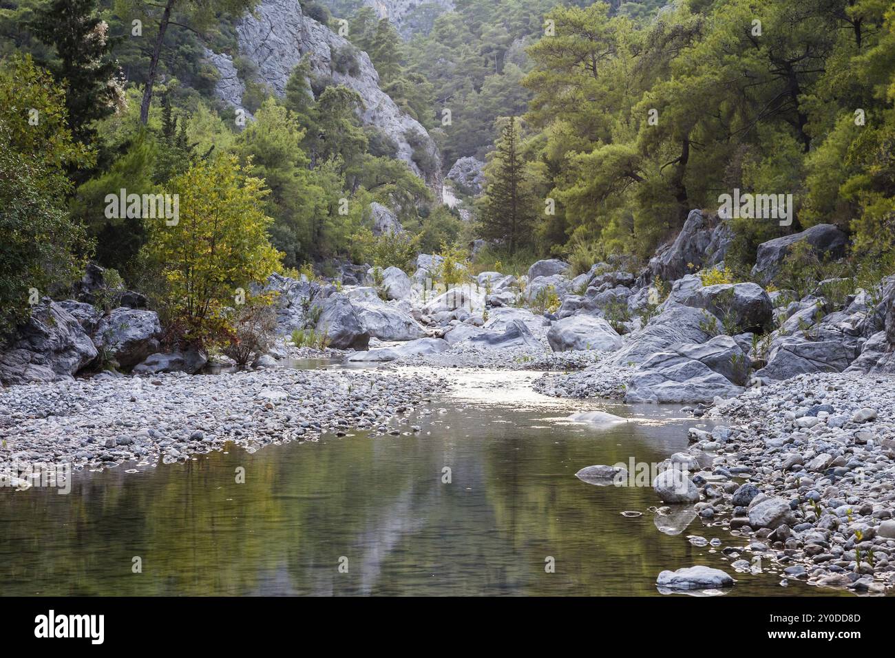 Bellezza e natura del Gorge Goynuk Canyon Park a Turkey Antalya Foto Stock