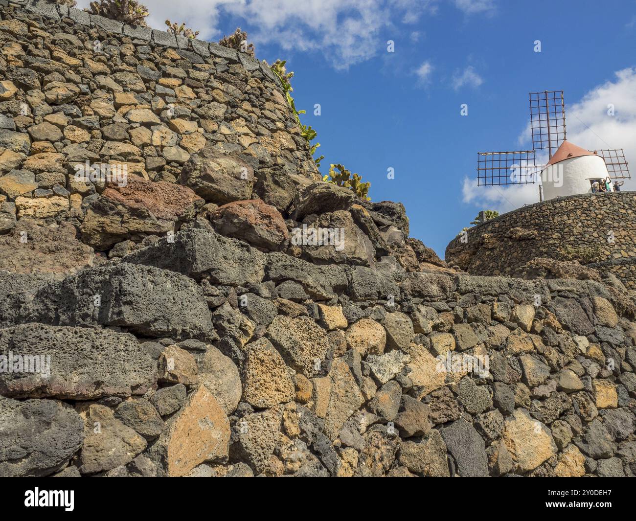 Pareti di pietra con dietro un mulino a vento e lussureggianti piante del deserto sotto un cielo blu, lanzarote, Isole Canarie, Spagna, Europa Foto Stock