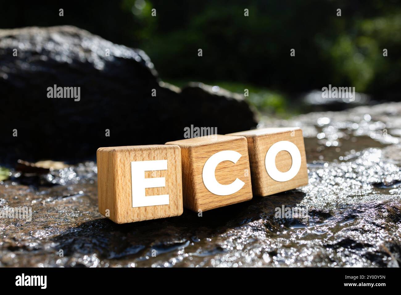 Abbracciare la forza dell'ecologia nella sostenibilità Foto Stock