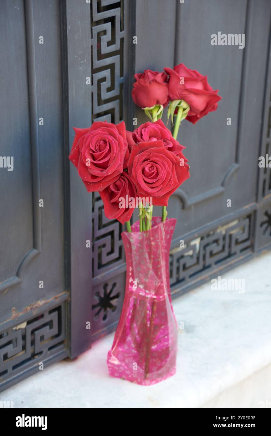 bellissimi fiori rossi su una porta arrugginita Foto Stock