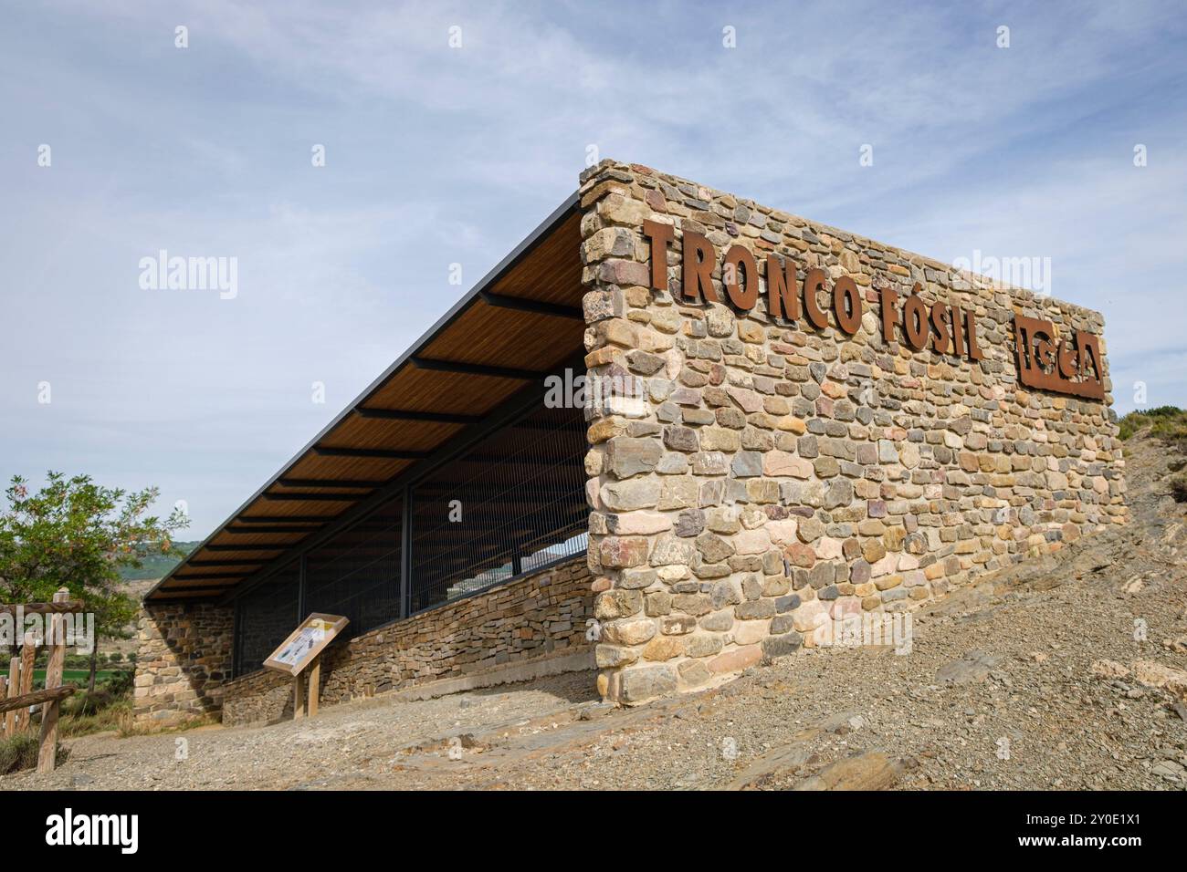 Tronco fossile, Igea, la Rioja, Spagna, Europa Foto Stock