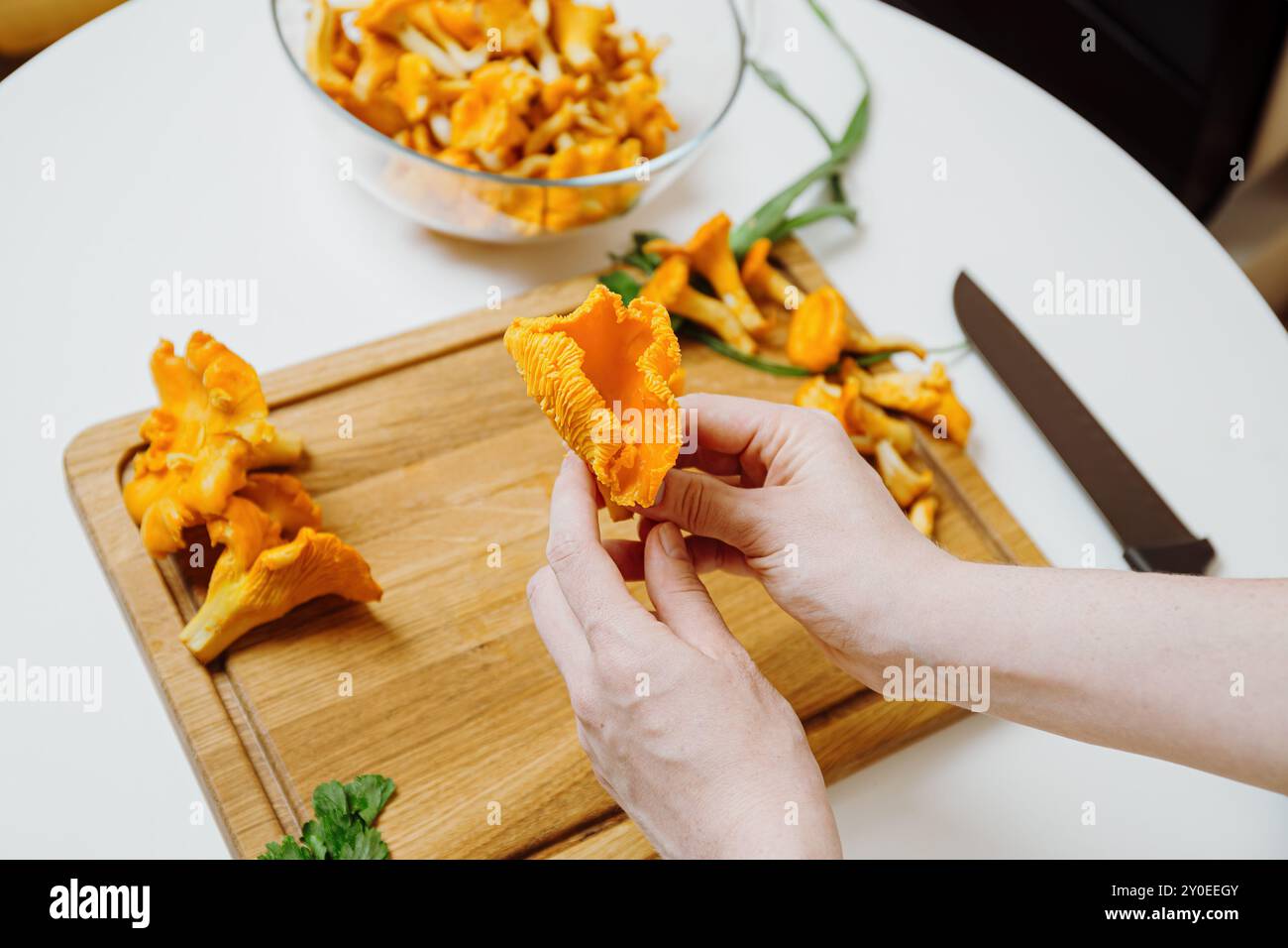 La persona tiene in mano un fungo canterello mentre lo prepara per la cottura su un tagliere di legno, per la raccolta di funghi freschi Foto Stock